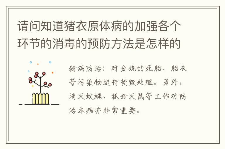 请问知道猪衣原体病的加强各个环节的消毒的预防方法是怎样的吗？