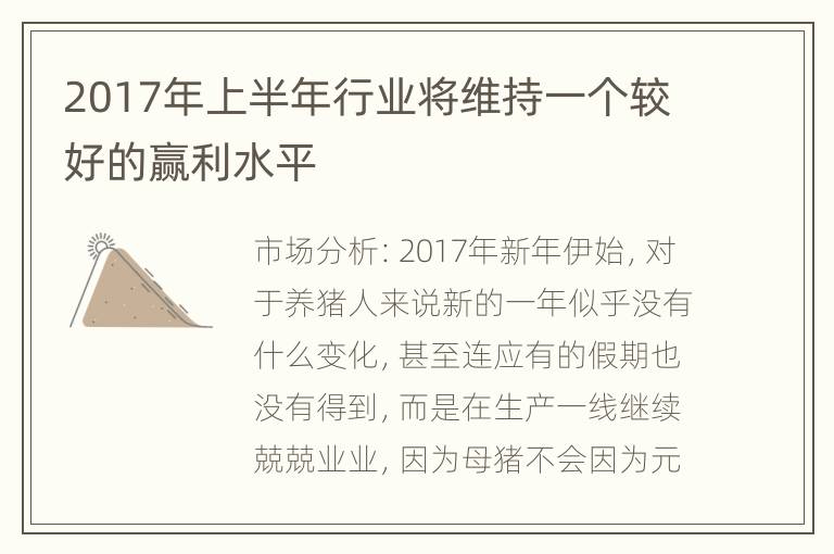 2017年上半年行业将维持一个较好的赢利水平