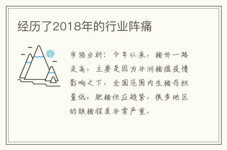 经历了2018年的行业阵痛