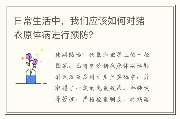 日常生活中，我们应该如何对猪衣原体病进行预防？