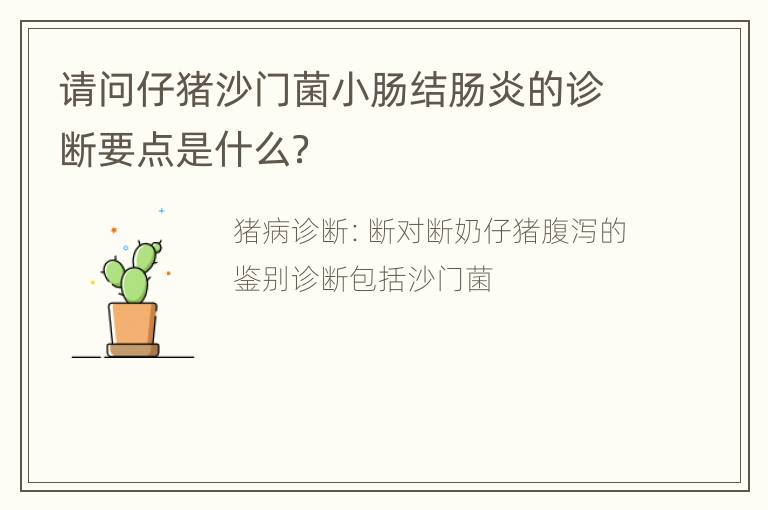 请问仔猪沙门菌小肠结肠炎的诊断要点是什么？