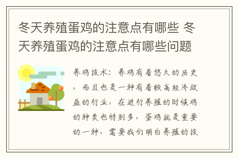 冬天养殖蛋鸡的注意点有哪些 冬天养殖蛋鸡的注意点有哪些问题