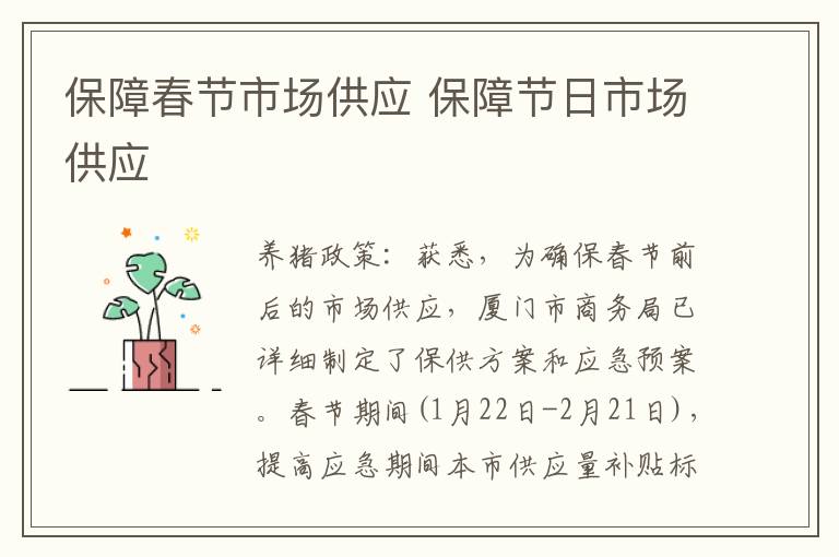 保障春节市场供应 保障节日市场供应