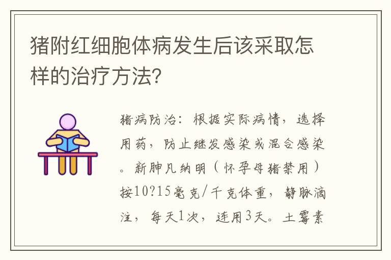 猪附红细胞体病发生后该采取怎样的治疗方法？