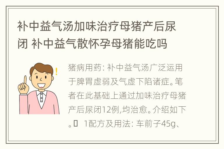 补中益气汤加味治疗母猪产后尿闭 补中益气散怀孕母猪能吃吗