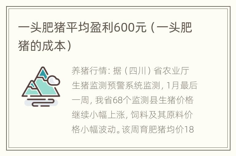 一头肥猪平均盈利600元（一头肥猪的成本）