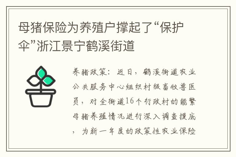 母猪保险为养殖户撑起了“保护伞”浙江景宁鹤溪街道