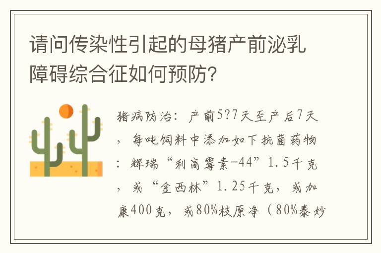 请问传染性引起的母猪产前泌乳障碍综合征如何预防？