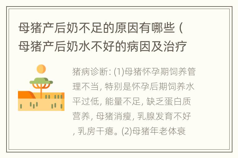 母猪产后奶不足的原因有哪些（母猪产后奶水不好的病因及治疗方法）