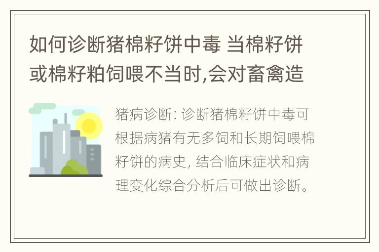 如何诊断猪棉籽饼中毒 当棉籽饼或棉籽粕饲喂不当时,会对畜禽造成那些危害