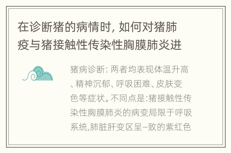 在诊断猪的病情时，如何对猪肺疫与猪接触性传染性胸膜肺炎进行鉴