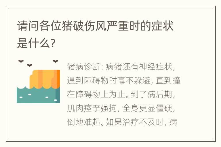 请问各位猪破伤风严重时的症状是什么？