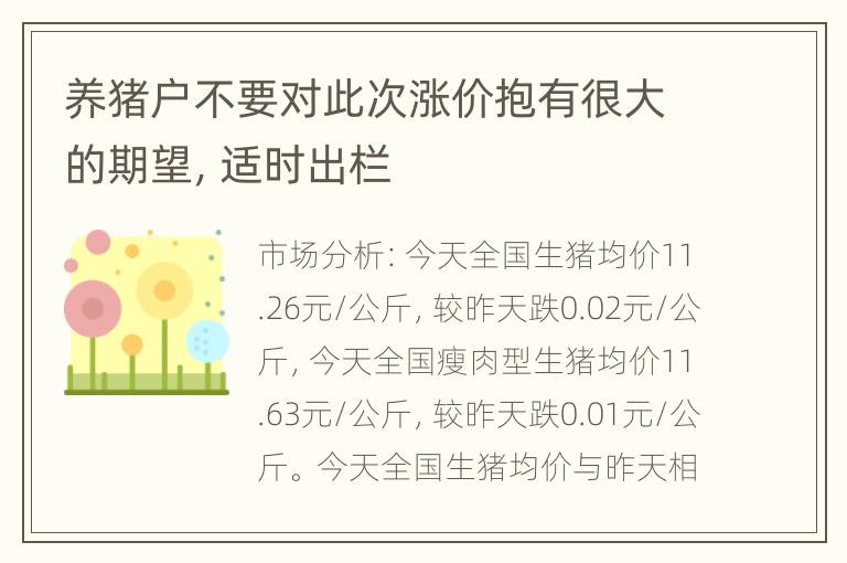 养猪户不要对此次涨价抱有很大的期望，适时出栏