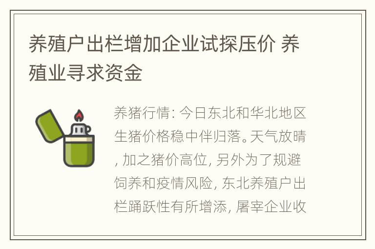 养殖户出栏增加企业试探压价 养殖业寻求资金