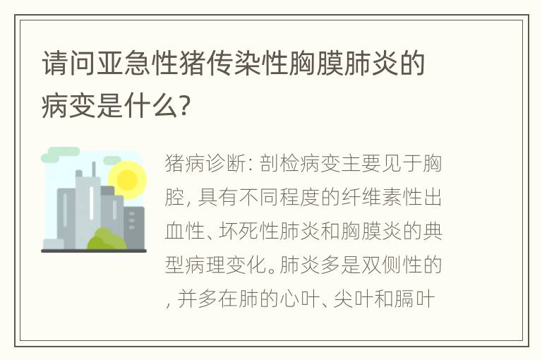 请问亚急性猪传染性胸膜肺炎的病变是什么？