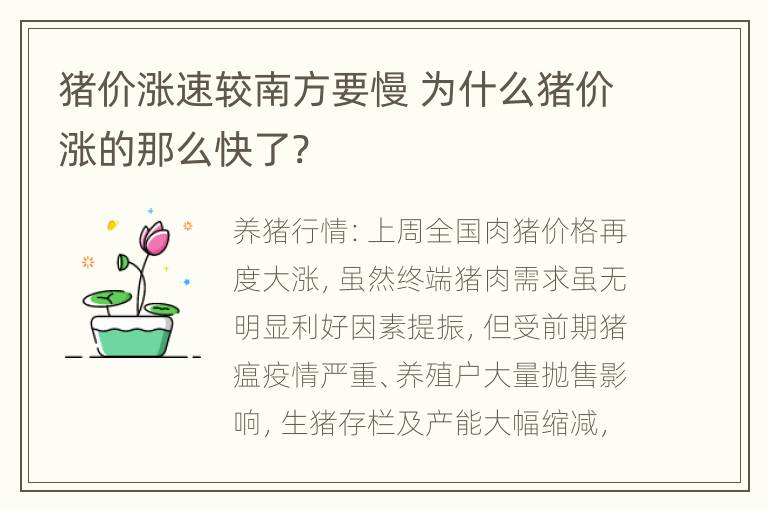 猪价涨速较南方要慢 为什么猪价涨的那么快了?