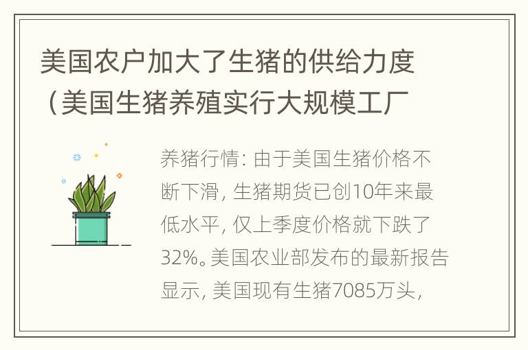 美国农户加大了生猪的供给力度（美国生猪养殖实行大规模工厂化生产）