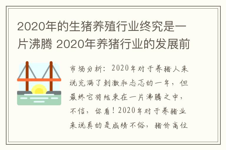 2020年的生猪养殖行业终究是一片沸腾 2020年养猪行业的发展前景