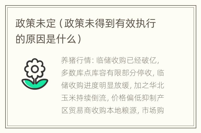 政策未定（政策未得到有效执行的原因是什么）