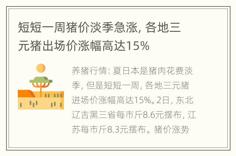 短短一周猪价淡季急涨，各地三元猪出场价涨幅高达15%