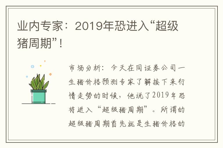 业内专家：2019年恐进入“超级猪周期”！