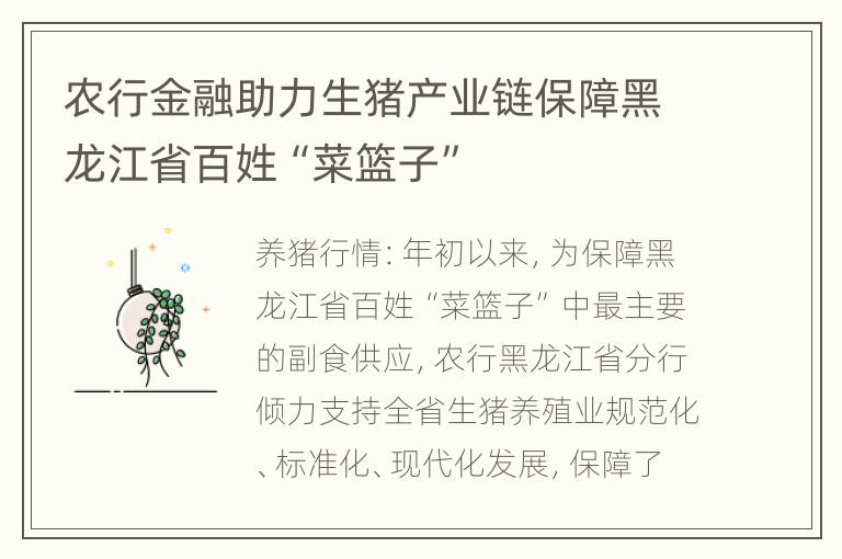 农行金融助力生猪产业链保障黑龙江省百姓“菜篮子”