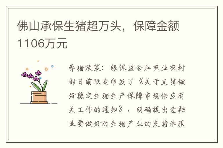 佛山承保生猪超万头，保障金额1106万元