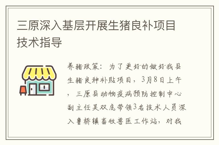 三原深入基层开展生猪良补项目技术指导