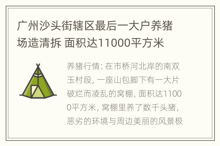 广州沙头街辖区最后一大户养猪场造清拆 面积达11000平方米