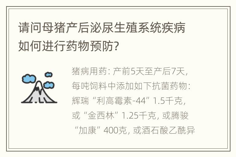 请问母猪产后泌尿生殖系统疾病如何进行药物预防？