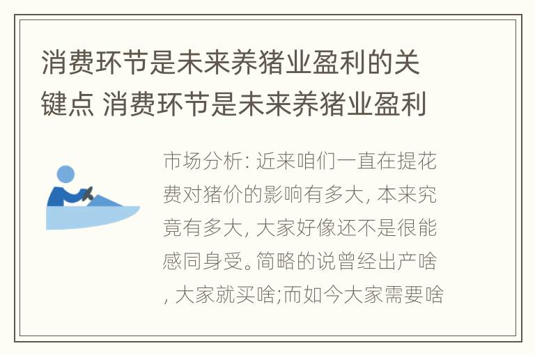 消费环节是未来养猪业盈利的关键点 消费环节是未来养猪业盈利的关键点吗