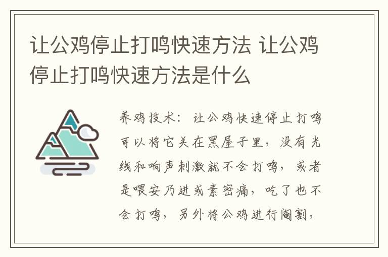 让公鸡停止打鸣快速方法 让公鸡停止打鸣快速方法是什么