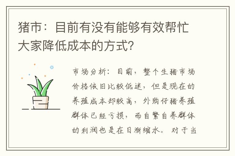 猪市：目前有没有能够有效帮忙大家降低成本的方式？