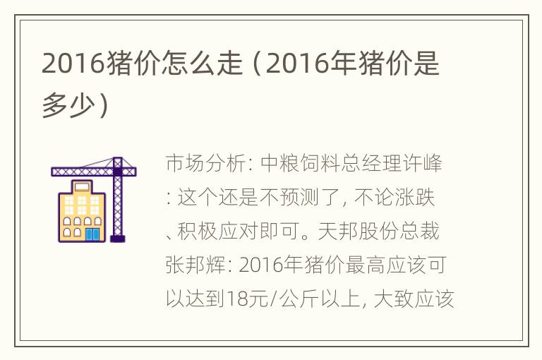 2016猪价怎么走（2016年猪价是多少）