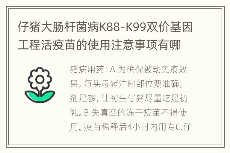 仔猪大肠杆菌病K88-K99双价基因工程活疫苗的使用注意事项有哪些