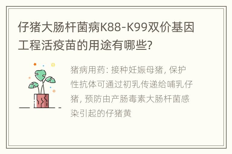 仔猪大肠杆菌病K88-K99双价基因工程活疫苗的用途有哪些？