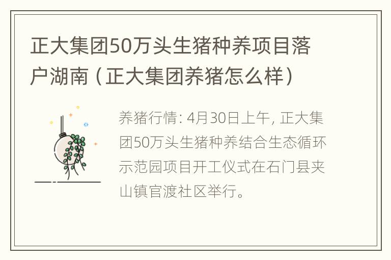 正大集团50万头生猪种养项目落户湖南（正大集团养猪怎么样）