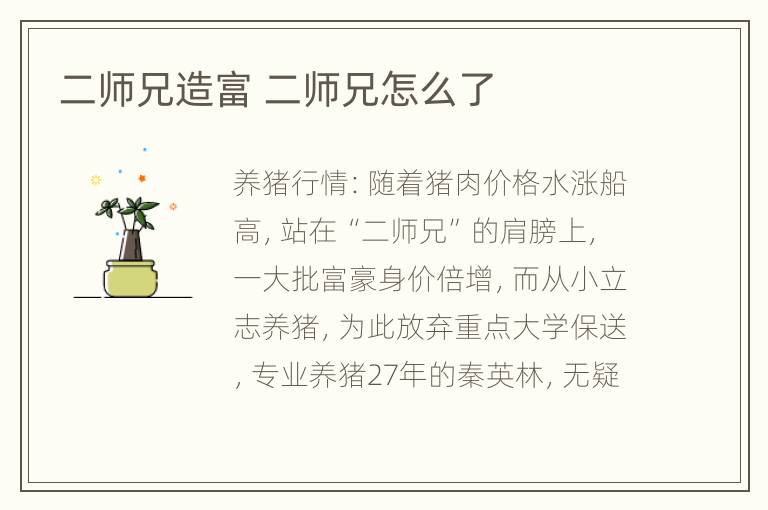 二师兄造富 二师兄怎么了