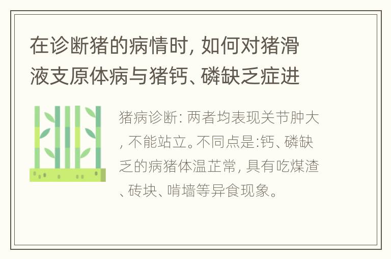 在诊断猪的病情时，如何对猪滑液支原体病与猪钙、磷缺乏症进行鉴别