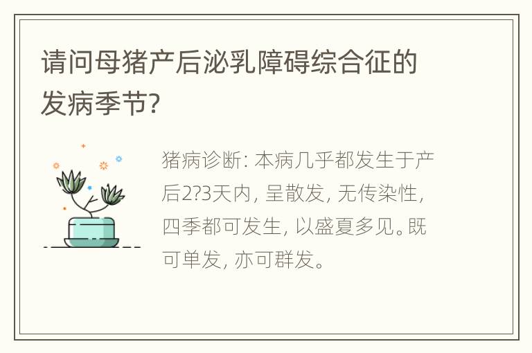 请问母猪产后泌乳障碍综合征的发病季节？