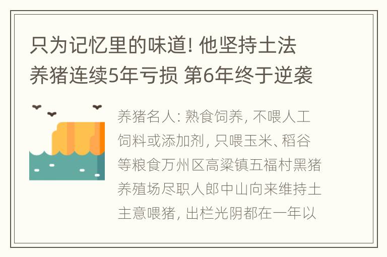 只为记忆里的味道！他坚持土法养猪连续5年亏损 第6年终于逆袭