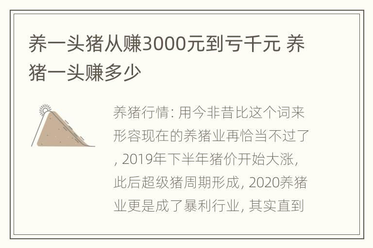 养一头猪从赚3000元到亏千元 养猪一头赚多少