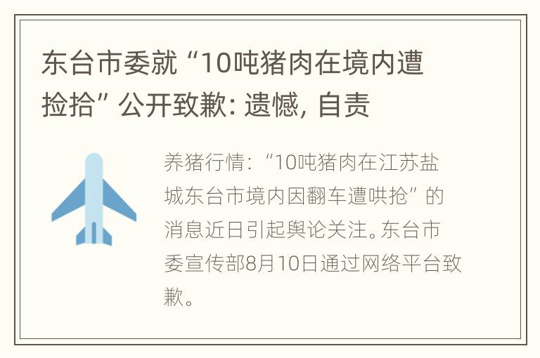 东台市委就“10吨猪肉在境内遭捡拾”公开致歉：遗憾，自责