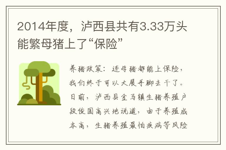 2014年度，泸西县共有3.33万头能繁母猪上了“保险”