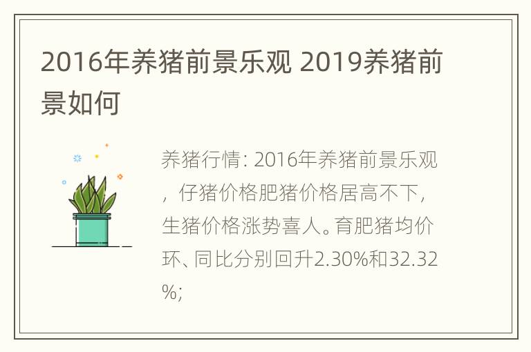 2016年养猪前景乐观 2019养猪前景如何