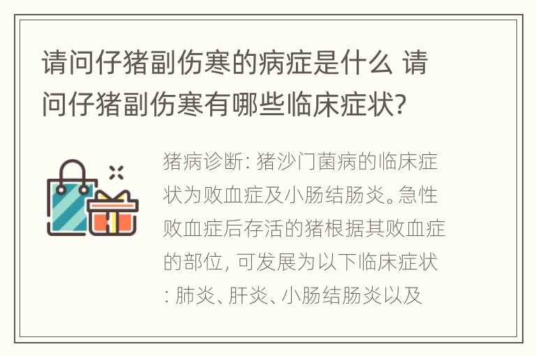 请问仔猪副伤寒的病症是什么 请问仔猪副伤寒有哪些临床症状?