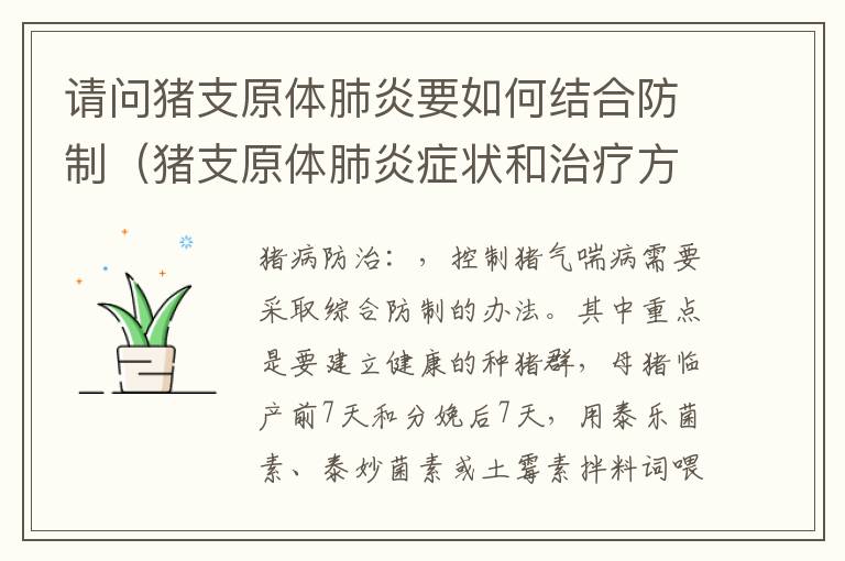 请问猪支原体肺炎要如何结合防制（猪支原体肺炎症状和治疗方法）