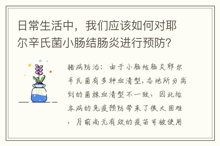 日常生活中，我们应该如何对耶尔辛氏菌小肠结肠炎进行预防？