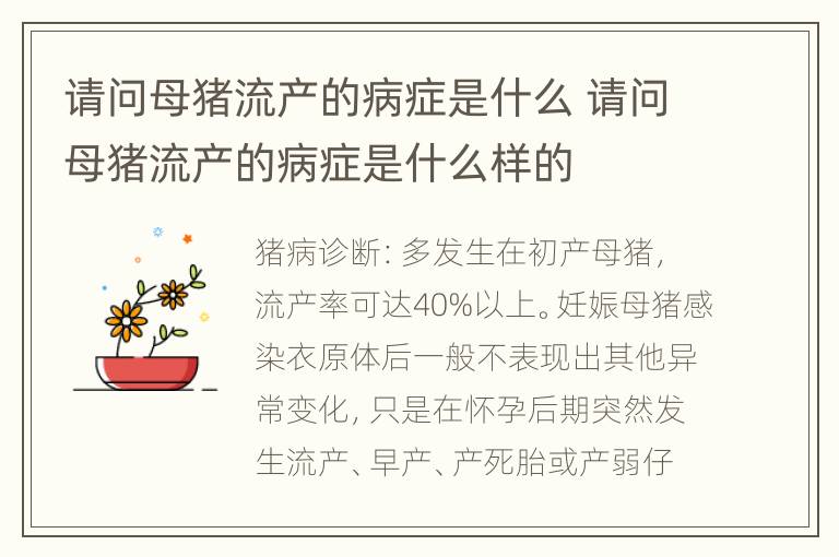 请问母猪流产的病症是什么 请问母猪流产的病症是什么样的