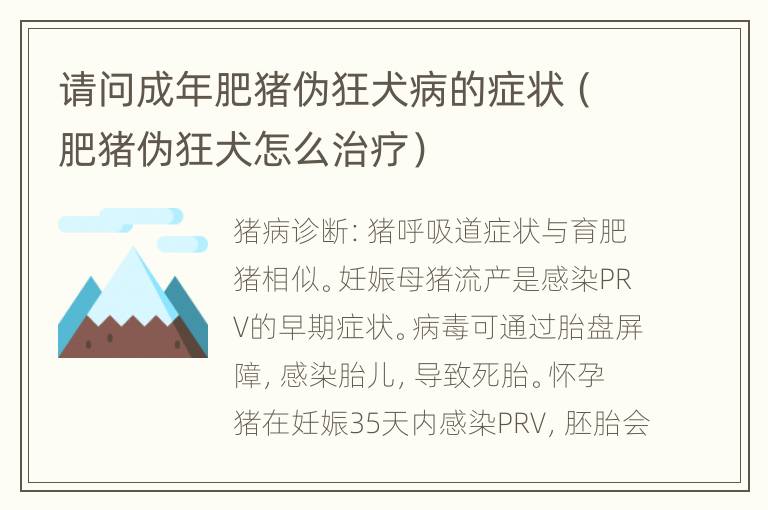 请问成年肥猪伪狂犬病的症状（肥猪伪狂犬怎么治疗）